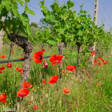 Lantställe Borgo San Donino