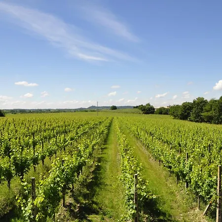 Gospodarstwo wiejskie Borgo San Donino